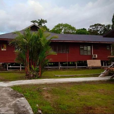 Mulu Tribal Homestay Zewnętrze zdjęcie