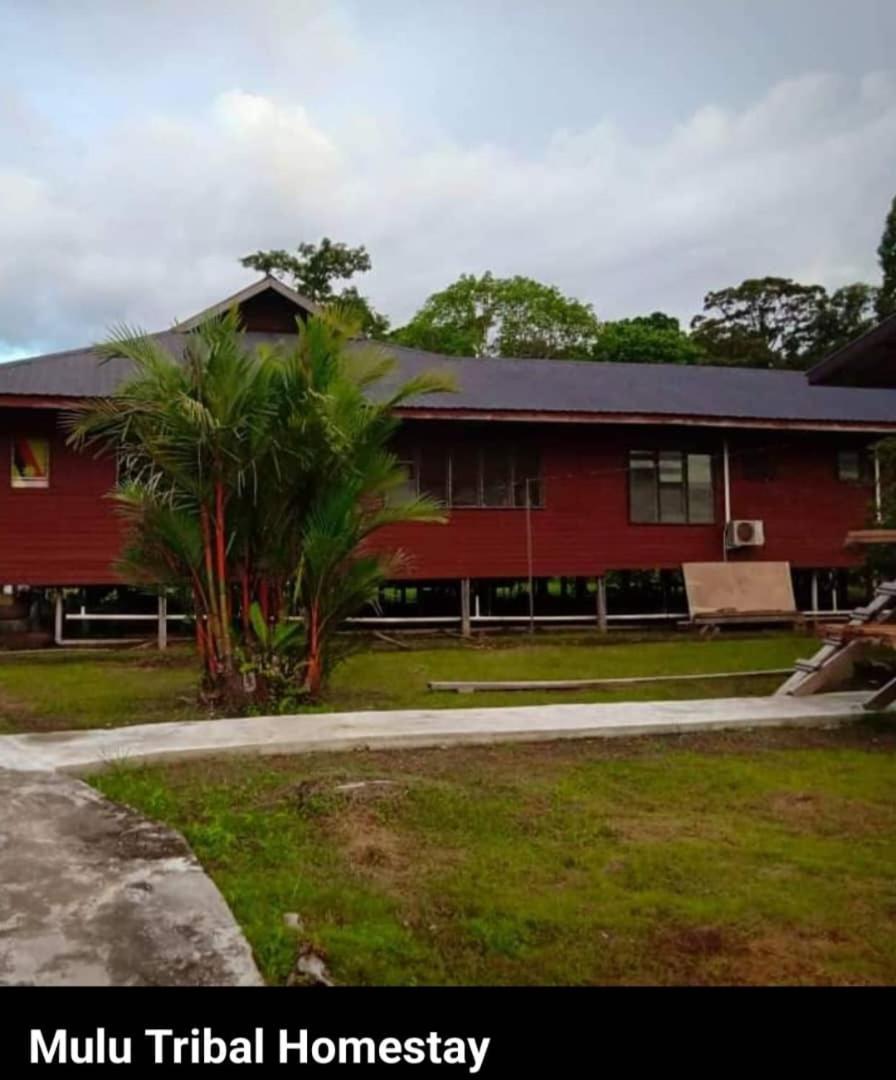 Mulu Tribal Homestay Zewnętrze zdjęcie