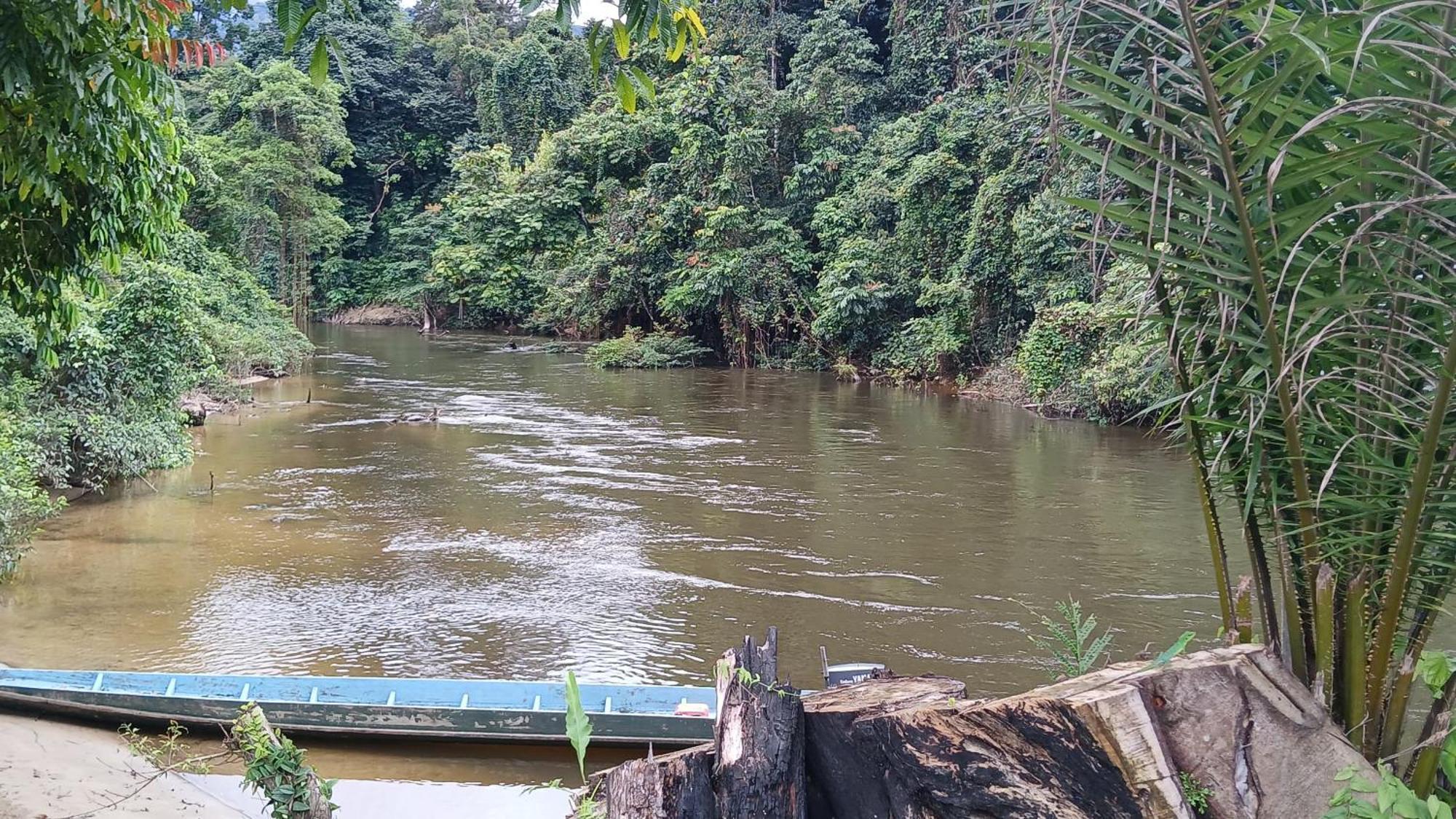 Mulu Tribal Homestay Zewnętrze zdjęcie