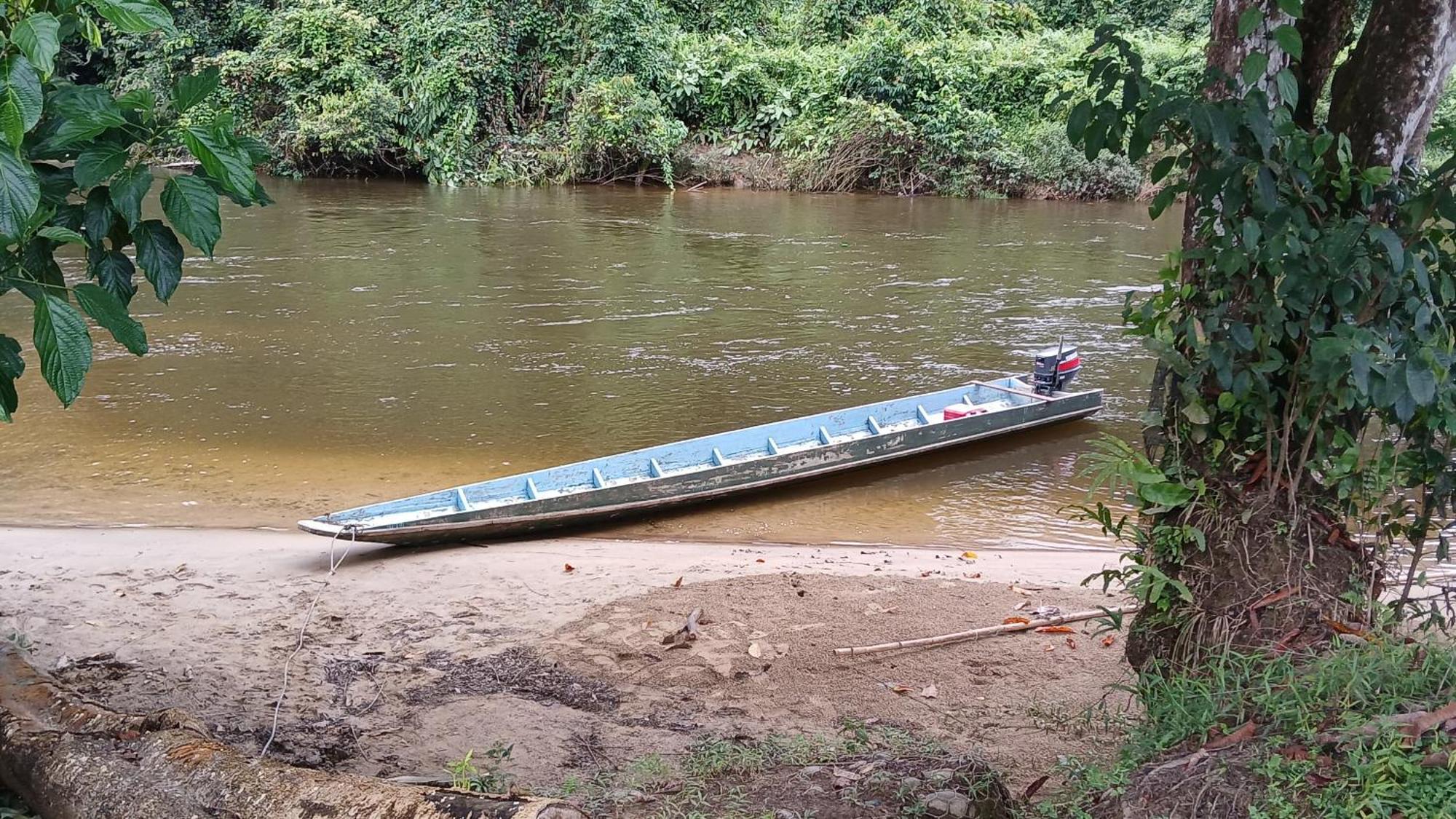 Mulu Tribal Homestay Zewnętrze zdjęcie
